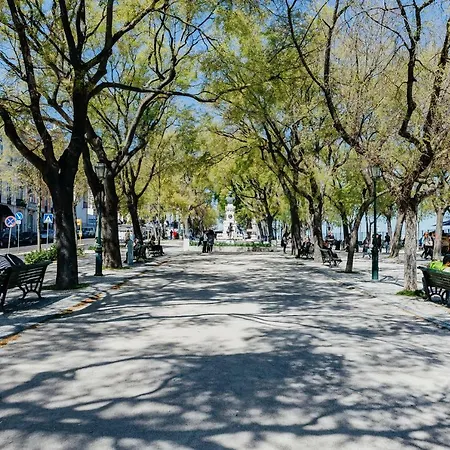 Апартаменти Rent4rest Sao Bento Charming Лісабон